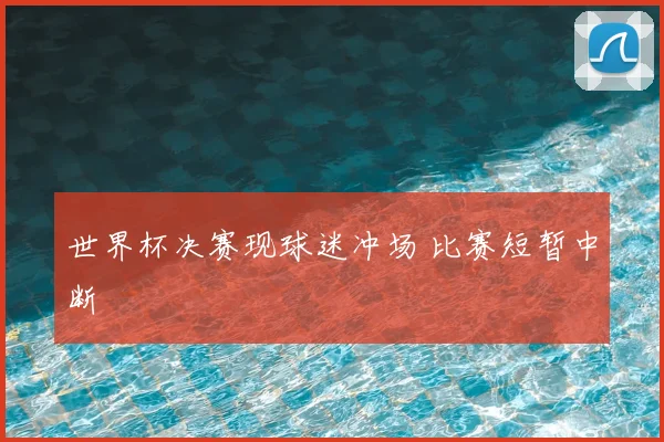 世界杯决赛现球迷冲场 比赛短暂中断
