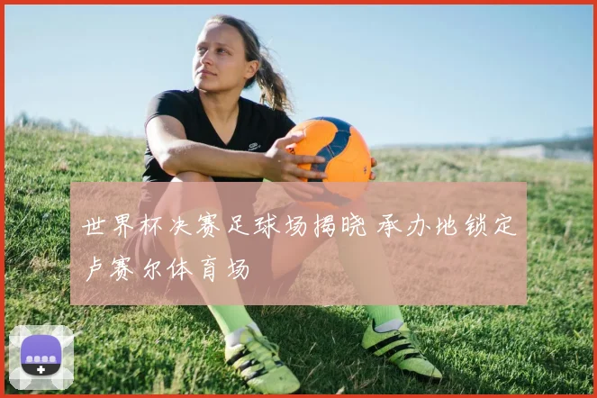 世界杯决赛足球场揭晓 承办地锁定卢赛尔体育场