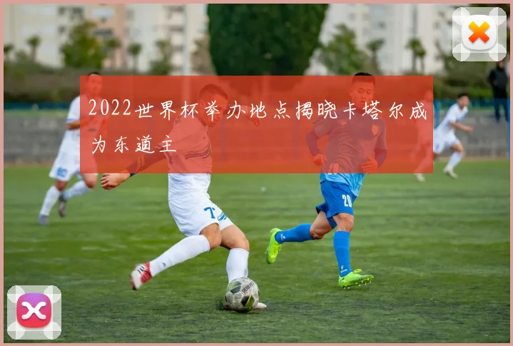 2022世界杯举办地点揭晓卡塔尔成为东道主