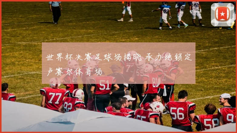 世界杯决赛足球场揭晓 承办地锁定卢赛尔体育场