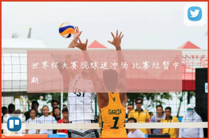 世界杯决赛现球迷冲场 比赛短暂中断