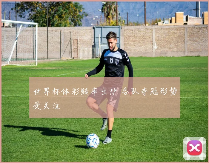 世界杯体彩赔率出炉 各队夺冠形势受关注