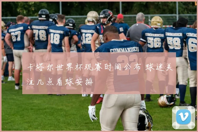 卡塔尔世界杯观赛时间公布 球迷关注几点看球安排