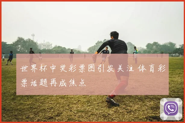 世界杯中奖彩票图引发关注 体育彩票话题再成焦点